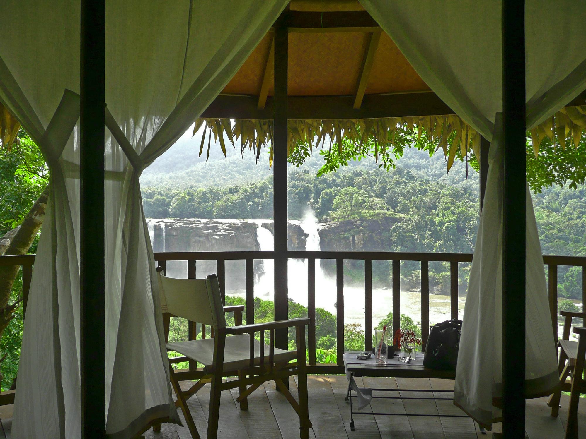 Rain forest