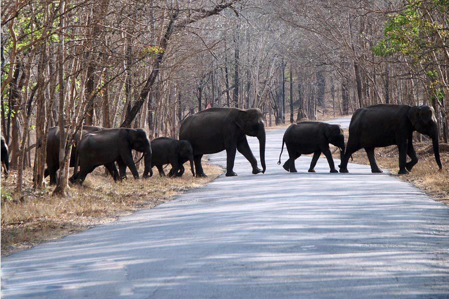Wayanad